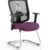 Bespoke Tansy Purple